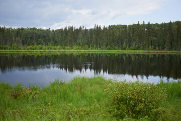 Fototapeta na wymiar Lake in Prince Alber national park