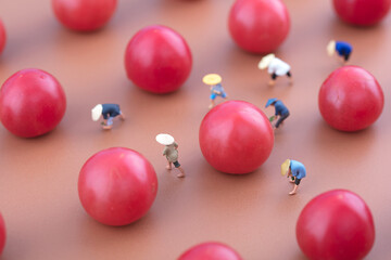 Miniature scene farmers grow tomatoes