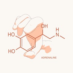 Hand holding chemical molecular formula of hormone adrenaline.