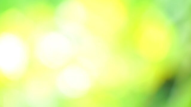 4K High quality video Green bokeh full frame as abstract motion blur background. Nature video background concept