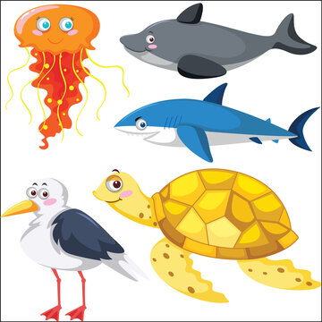 Set of different sea animals