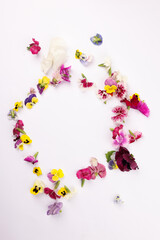 Beautiful colourful yellow violet wite red edible flowers border frame on white background copy text space