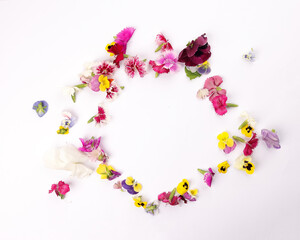 Beautiful colourful yellow violet wite red edible flowers border frame on white background copy text space