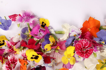 Beautiful colourful yellow violet wite red edible flowers border frame on white background copy...