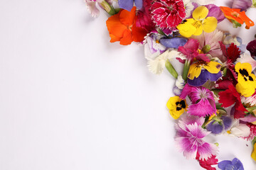 Beautiful colourful yellow violet wite red edible flowers border frame on white background copy text space