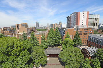 Fototapeta premium 東京大学 本郷キャンパス