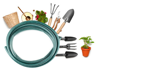 Watering hose with set of gardening tools and plants on white background