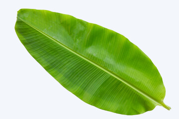 Banana leaf on white background.