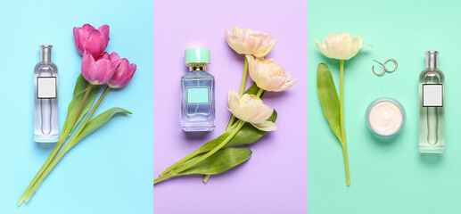 Collage of perfume bottles with tulip flowers on color background, top view