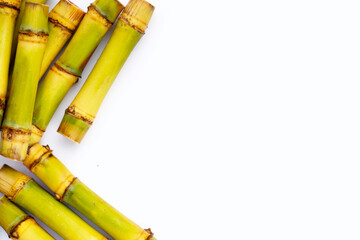 Fototapeta premium Sugar cane on white background.