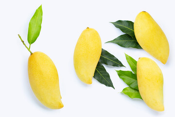 Tropical fruit, Mangoes  with leaves on white background.