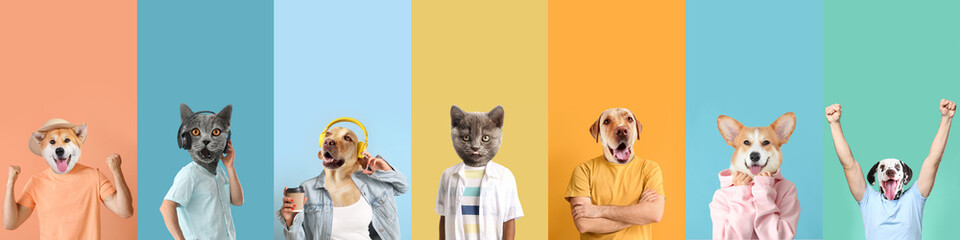 Cute cats and dogs with human bodies on color background with space for text