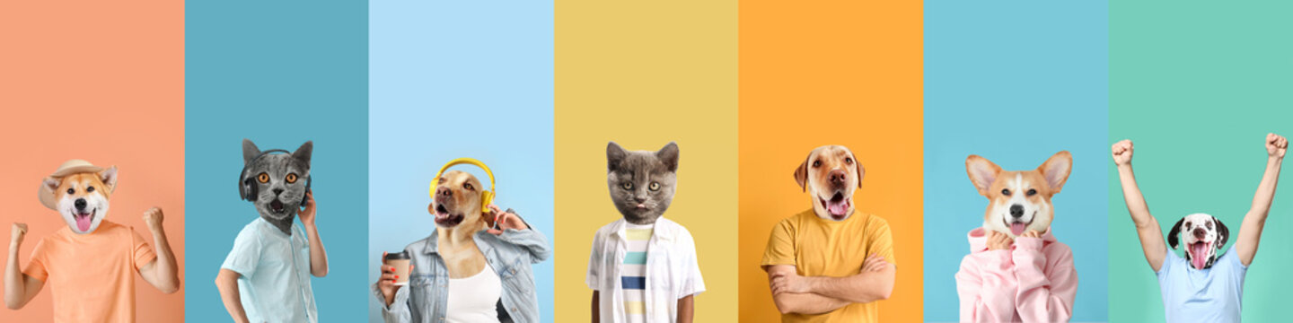 Cute cats and dogs with human bodies on color background with space for text