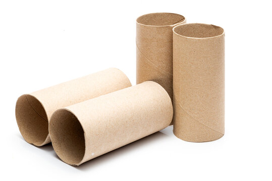 Cutout empty toilet paper rolls. Toilet paper core, Toilet roll core, Toilet paper tube. Paper waste for recycling.