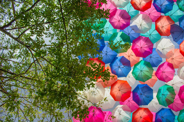 Fototapeta na wymiar Colorida fotografía de un árbol y varios paraguas de colores.