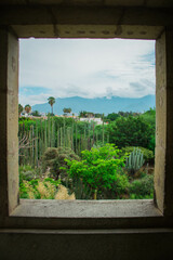 Preciosa toma del Jard&iacute;n Etonobot&aacute;nico de Oaxaca desde una ventana.