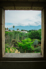 Preciosa toma del Jardín Etonobotánico de Oaxaca desde una ventana.