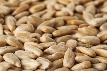 Closeup view of peeled sunflower seeds as background