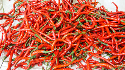 freshly harvested red chilies from the garden