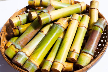 Cut sugar cane for planting