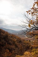 A mountainous autumn landscape. Vineyards in red, mountains and houses. A cozy winery in the valley. Vertical photo.