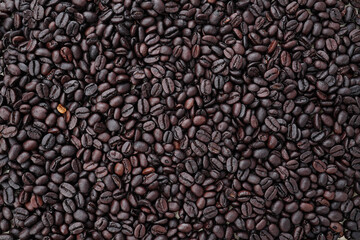 coffee bean background close-up