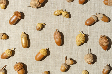 Top view autumn pattern made natural materials, natural acorns oak tree, dry seeds on textile background. Autumnal trendy flat lay, earth-colored aesthetics fall still life image