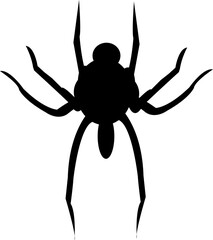 black and white spider