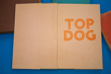 Top Dog word in opened book with vintage, natural patterns old antique paper design.