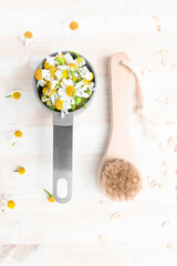 Healing chamomile flowers and dry massage brush for skin care and cleansing, top view, flat lay.