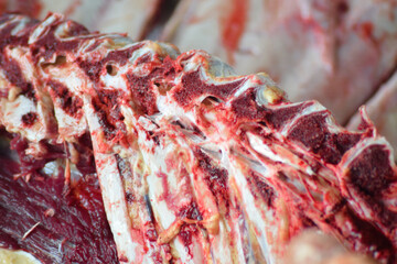 FRESH BEEF RIBS BONE