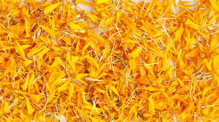 Marigold flower petals for background.