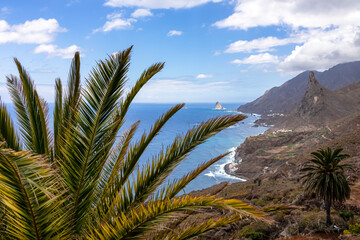 Fototapeta na wymiar Large tropical palm trees with a panoramic view on Roque de las Animas crag and Roque en Medio in the Anaga mountain range, Tenerife, Canary Islands, Spain, Europe. Hiking trail from Afur to Taganana