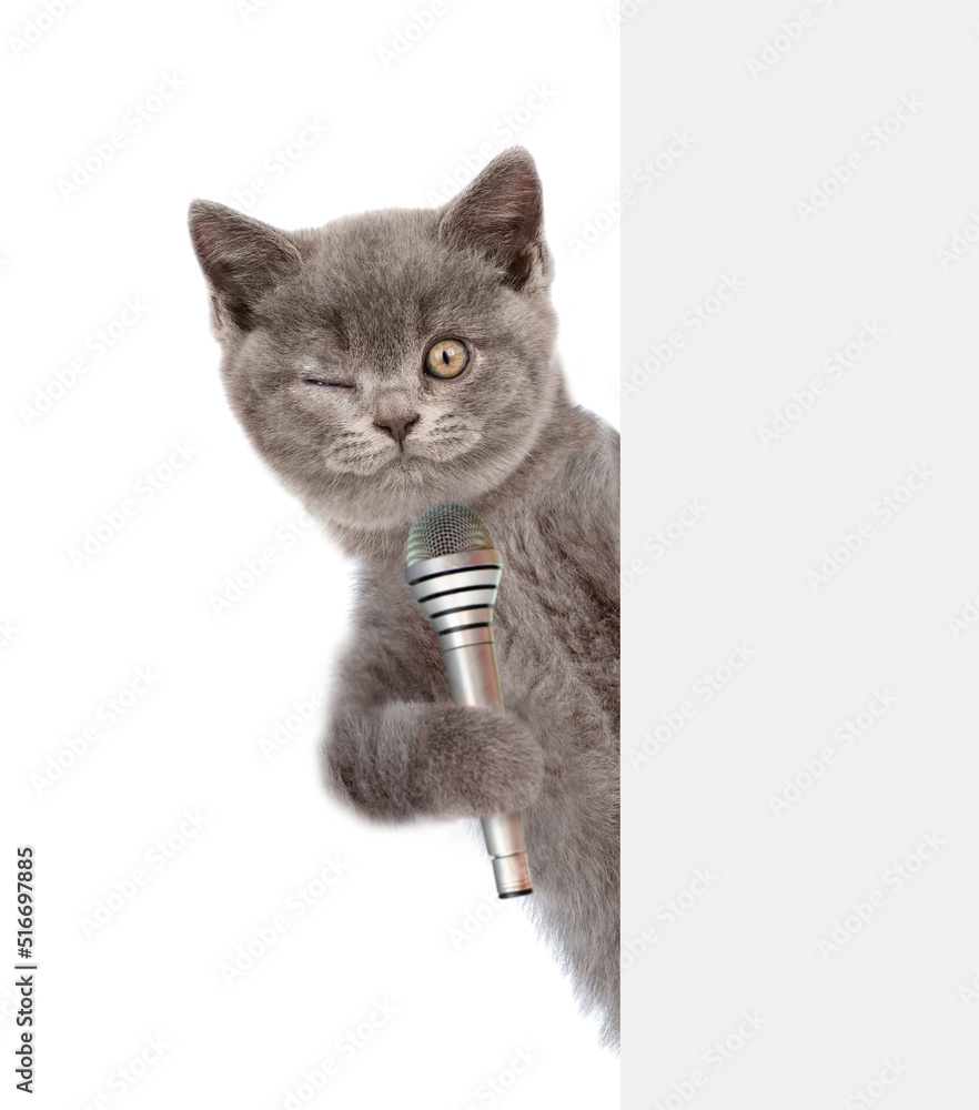 Poster winking cat holds microphone behind empty white banner. isolated on white background