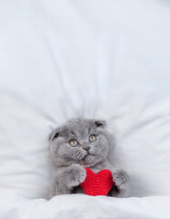 Cute fold kitten hugs red heart on a bed under warm white blanket and looks up on empty space. Valentines day concept. Top down view