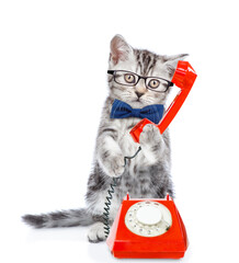 Funny kitten wearing tie bow eyeglasses uses a retro phone or telephone. Isolated on white...