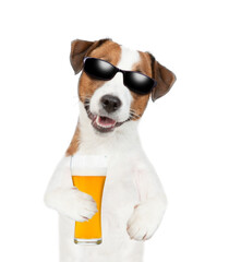 Jack Russell Terrier puppy wearing sunglasses holds mug of the beer. isolated on white background