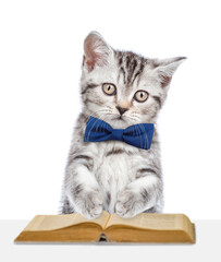 Smart kitten wearing tie bow reads a book. isolated on white background