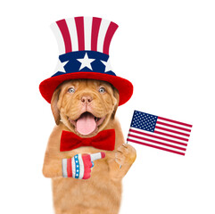 Happy Mastiff puppy wearing like Uncle Sam points on flags USA. isolated on white background