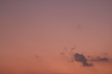 flock of birds