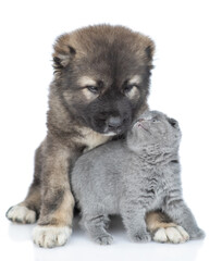 Obraz premium Caucasian shepherd dog puppy hugs tiny kitten. isolated on white background