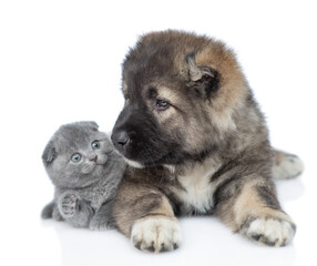 Obraz premium Caucasian shepherd dog puppy sniffs cute kitten. isolated on white background