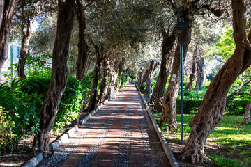 Natural Landscape and walking path of the public Gardens in Taormina, Province of Messina, Sicily,...