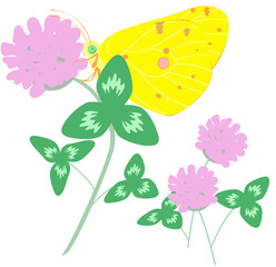 Clover and Yellow Butterfly