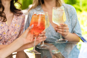 Group of happy female clinking and toasting together with friendship and happiness