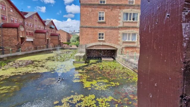 Pond with Water lilies in a residential area in a British city
