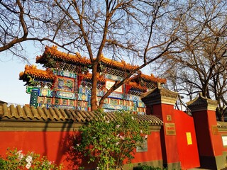 Beijing spring