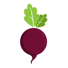 beet root vector illustration flat logo icon 