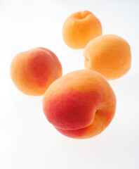 あんず　イメージ