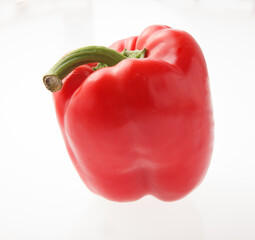 赤いパプリカ　スタジオ撮影